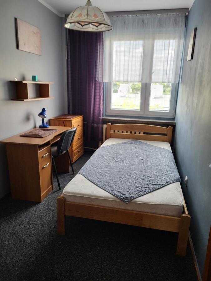 Apartament Sosnowy Z Parkingiem Stary Toruń Esterno foto